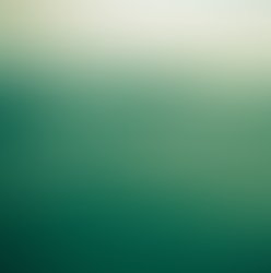 1367311639 535065866540367 1172835080 n 1 