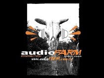 audioFARM