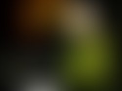 1362772120 10151240549082401 57827490 n