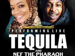 Tequila McClinton