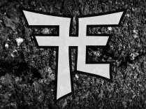 Fallen Ends