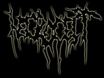 NECROCEST (Booking Gigs!!!)