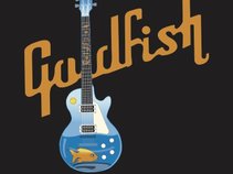 Goldfish