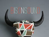 BisonSound