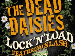 The Dead Daisies
