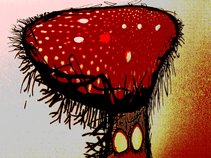 Mushroom People