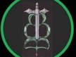The Bruce Barbini Band