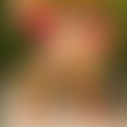 415e67c97ebfbdab6b1ef5d1fdc90f71d5278951