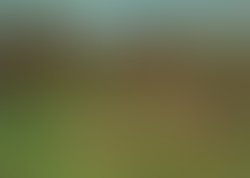 1370801872 deliriousness cover