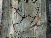 Image for Gny