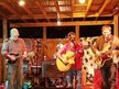 The Papa String Band (Official)