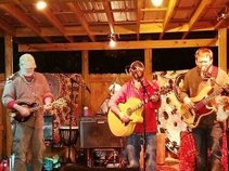 The Papa String Band (Official)