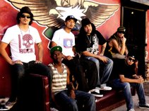 Krooked Treez Official Page