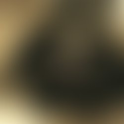 1459227212 445726778958312 5478437612545844188 n