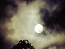 Image for Clinton Keating