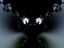 drifter (Artist)