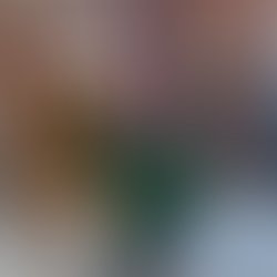 1422494790 judywexler what i see cover