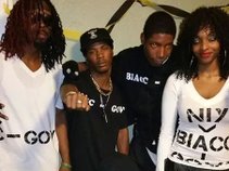 B.l.a.c.c government-518