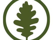 BigLeaf