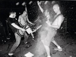 Image for Millhous