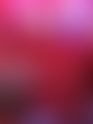 1369937565 140353002802364 1770322883 n