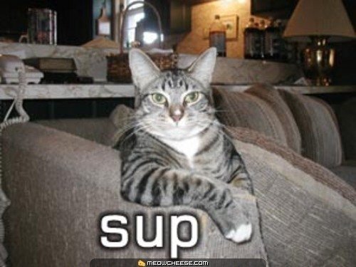 ReverbNation profile picture for @sup
