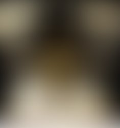 1309781247 mkay.adjust2011 3