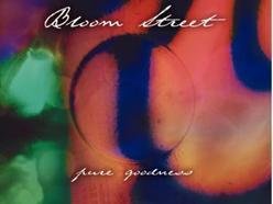 Image for Bloom Street
