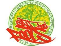 SaltAndRoots