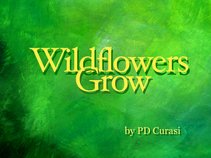 PD Bing Curasi / Songwriter