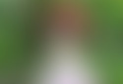 1338949689 natasha meadow singer.songwriter