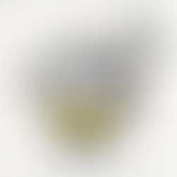 1379438782 510637669013689 350702322 n