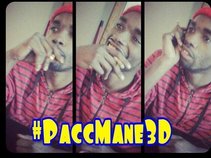Pacc Mane