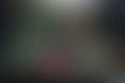 Artist 339810 1570834738