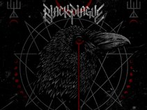 Black Plague