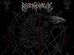 Image for Black Plague