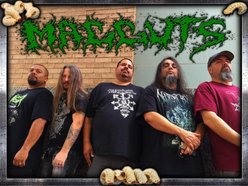 Image for Magguts