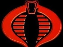 Cobra - Organization