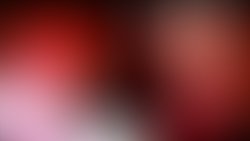Snapshot 3