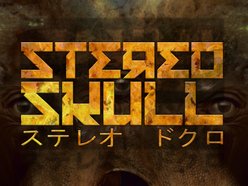 Image for Stereo Skull