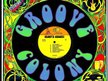 The Groove Colony