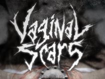 VAGINAL SCARS
