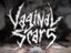 VAGINAL SCARS
