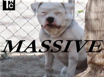 Massiive