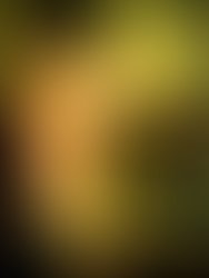 1451426191 595957353750595 1732392348 n