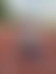 Photo 20aug 2027 2c 203 2016 2029 20pm