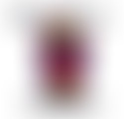 1441129290 royal team entertainment final