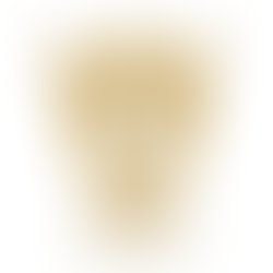 Final rte logo