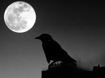 Crowspeaks
