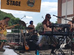 Image for Plankeye Peggy